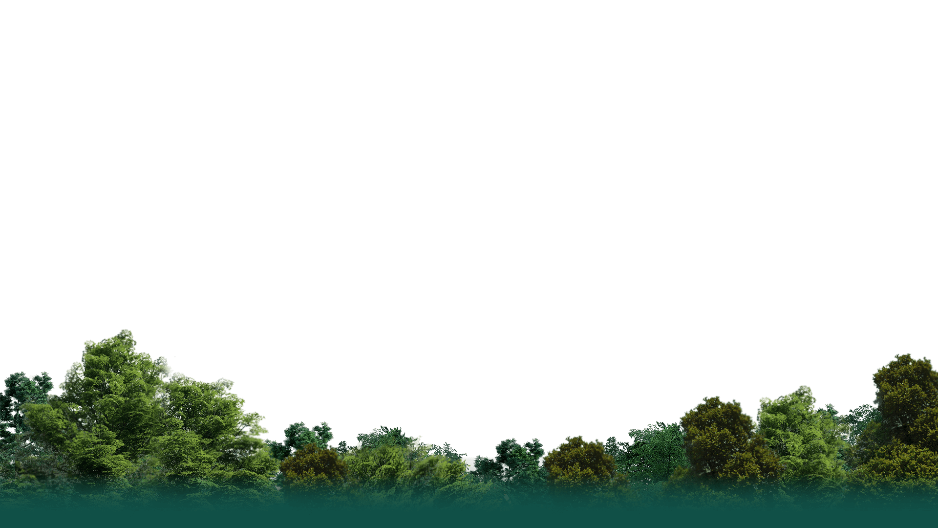 apartamente noi iasi dacia conest evolution dezvoltator imobiliar apartamente noi de vanzare